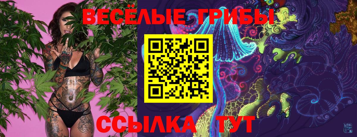 Галлюциногенные грибы ЛСД  Галлюциногенные грибы прущие грибы  Вход с VPN  Отрадное 